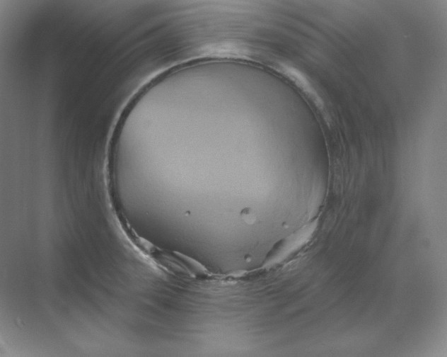 X0000068821331200605191823