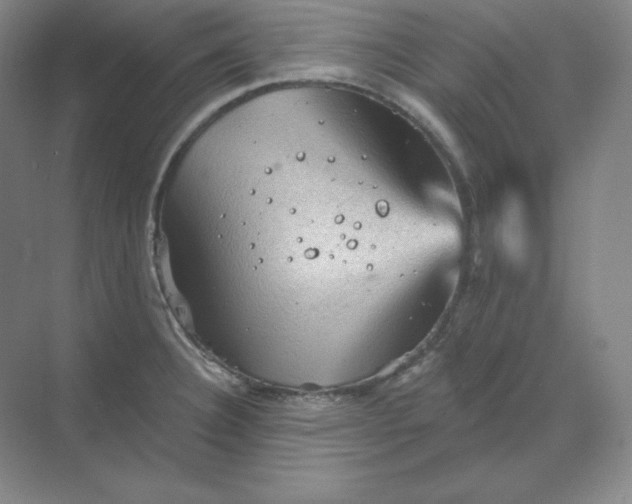 X0000068821332200605191823