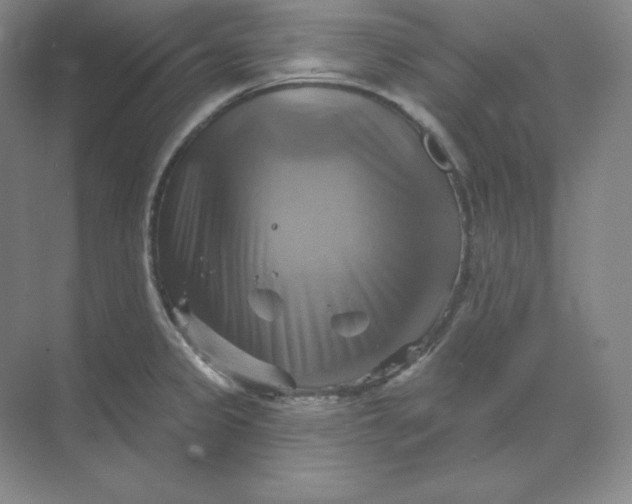 X0000068821333200605191823