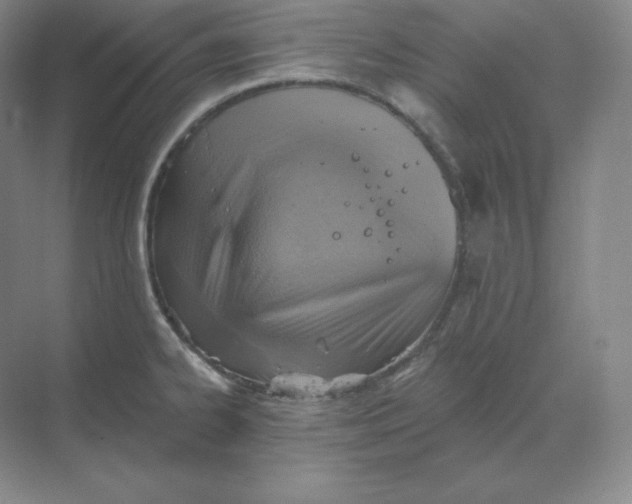 X0000068821334200605191823