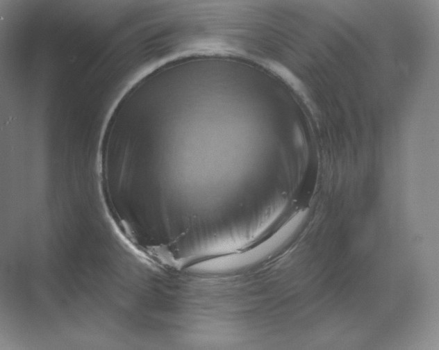 X0000068821335200605191823