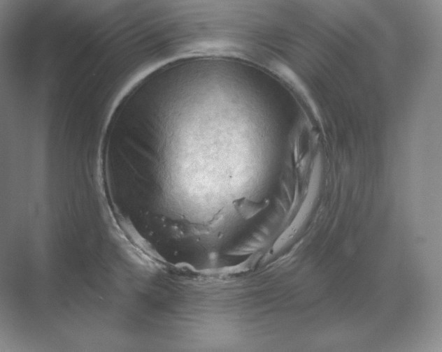 X0000068821336200605191823