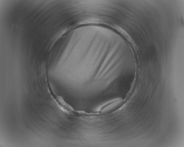 X0000068821337200605191823