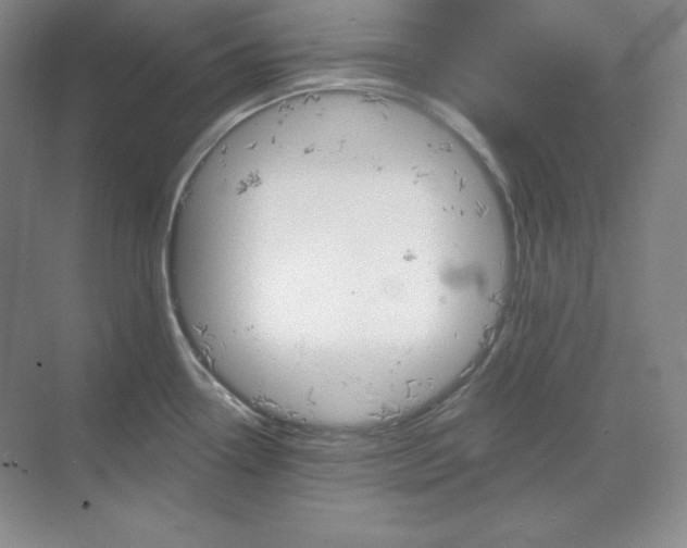 X0000068821338200605191823