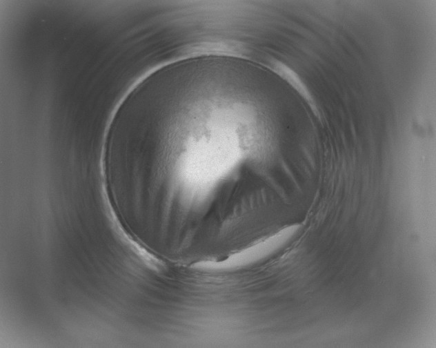 X0000068821339200605191823