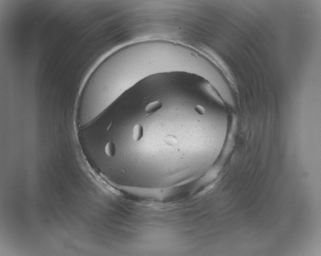 X0000068821340200605191823