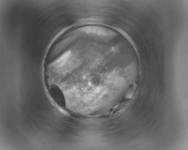 X0000068821341200605191823