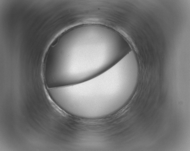 X0000068821342200605191823