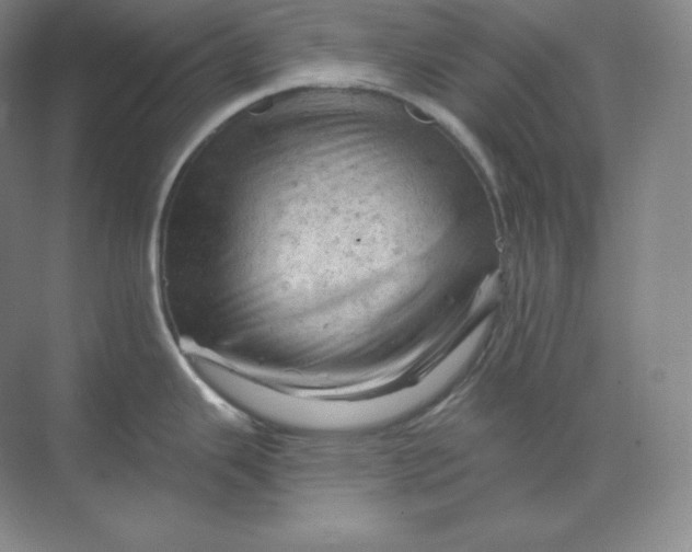 X0000068821343200605191823