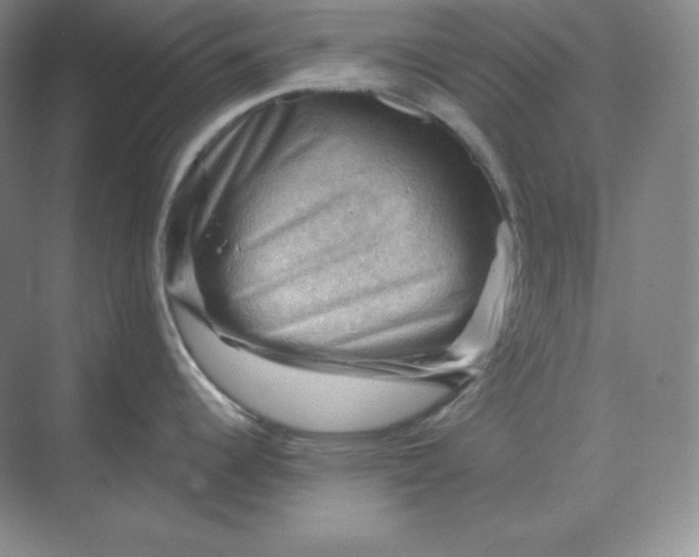 X0000068821344200605191823