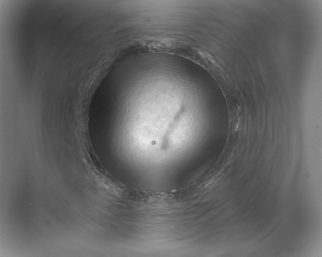 X0000068821345200605191822