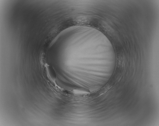 X0000068821346200605191822