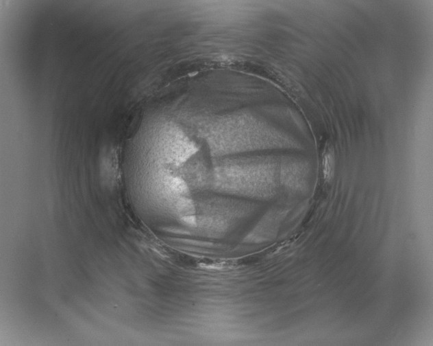 X0000068821347200605191822