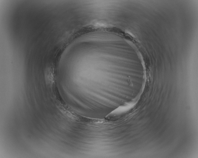 X0000068821348200605191822