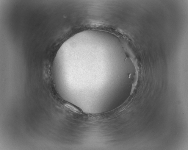 X0000068821349200605191822