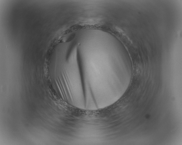 X0000068821350200605191822