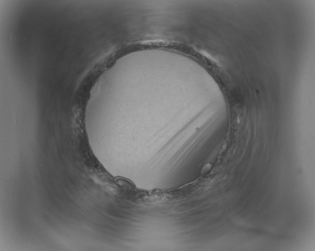 X0000068821351200605191822