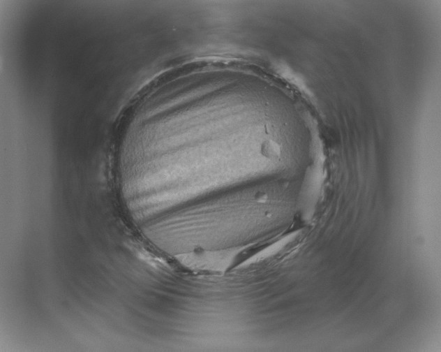 X0000068821352200605191822