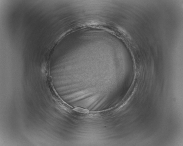 X0000068821353200605191822