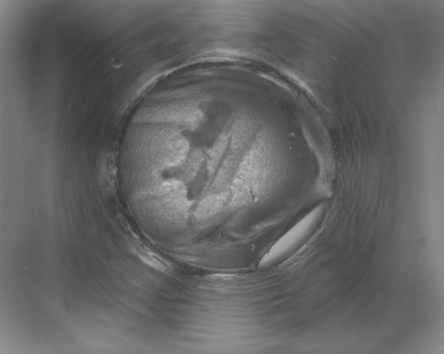 X0000068821355200605191822