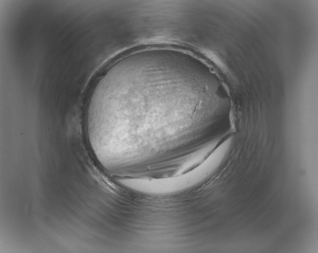 X0000068821356200605191822