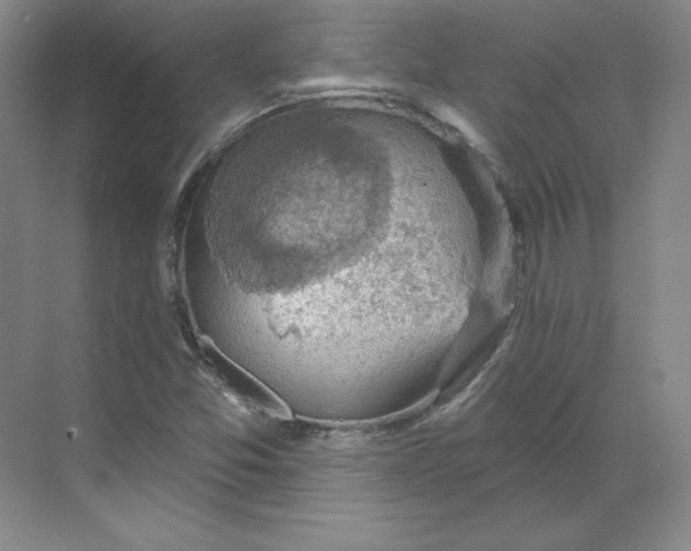 X0000068821357200605191822