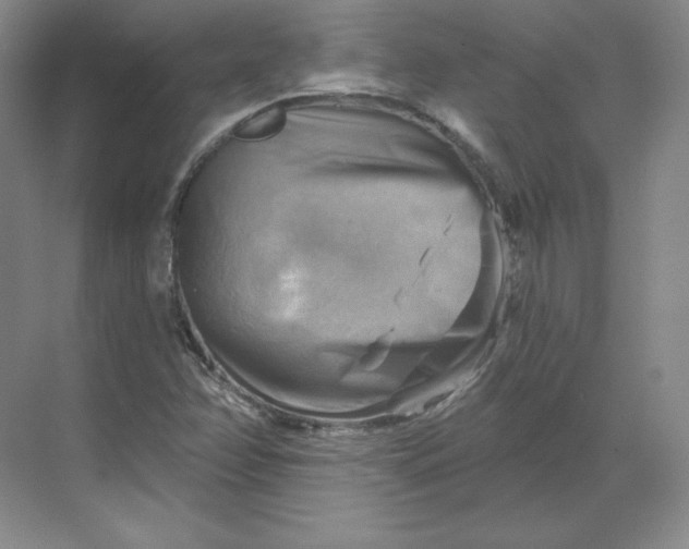 X0000068821358200605191822