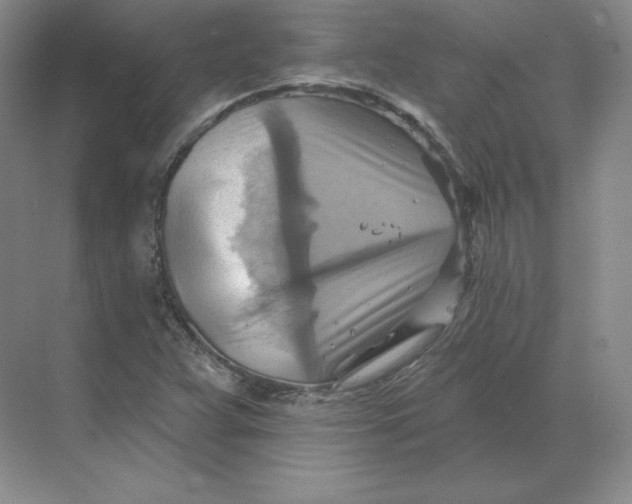 X0000068821359200605191822