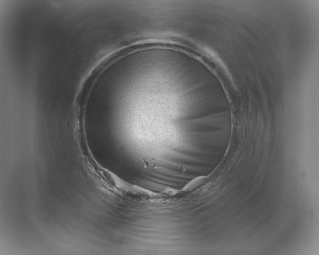 X0000068821360200605191822