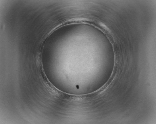 X0000068821361200605191822