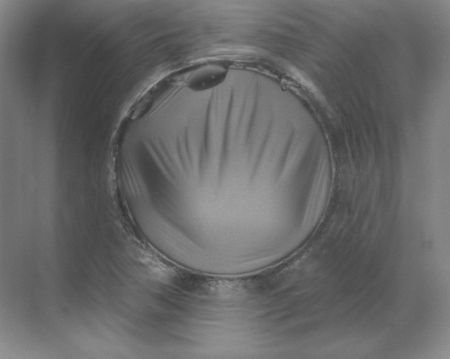 X0000068821362200605191822