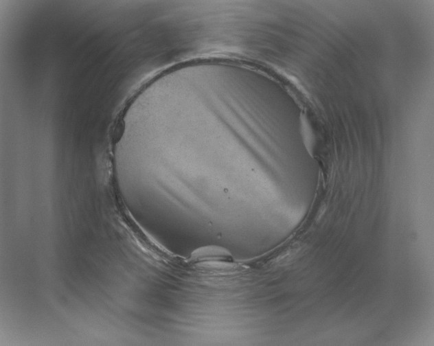 X0000068821363200605191822