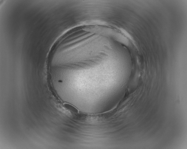 X0000068821364200605191822