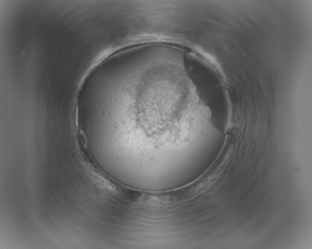 X0000068821365200605191822