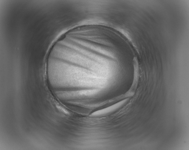 X0000068821366200605191822