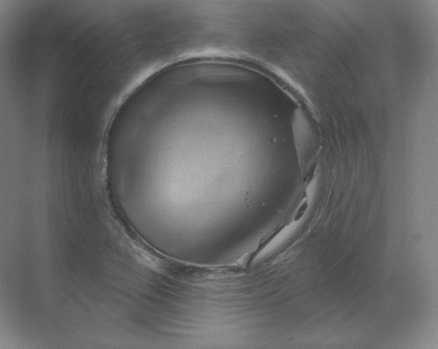 X0000068821367200605191822