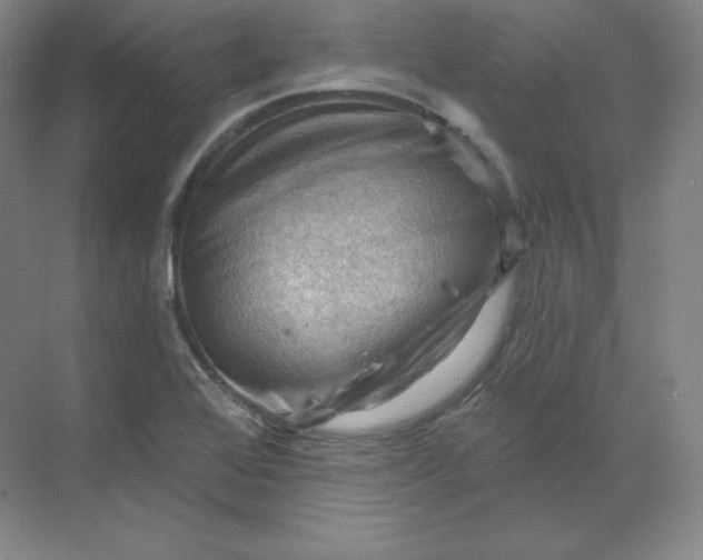 X0000068821368200605191822