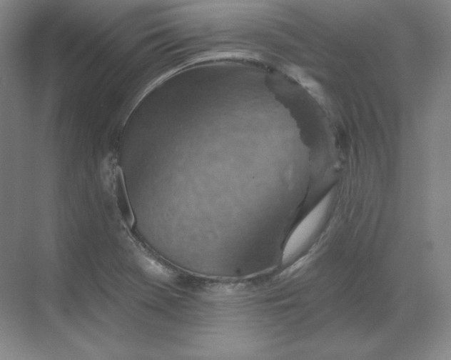 X0000068821369200605191822