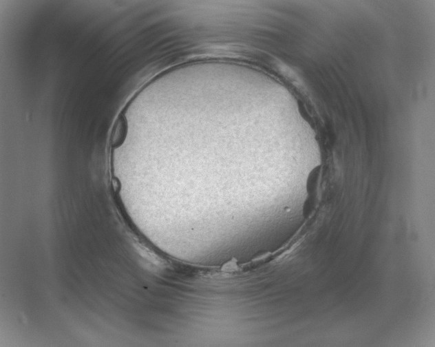 X0000068821370200605191822