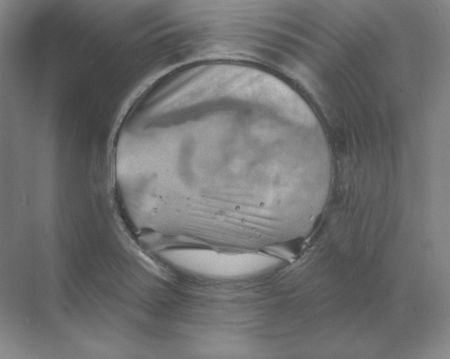 X0000068821371200605191822