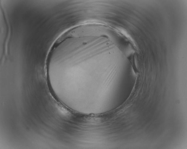 X0000068821372200605191822