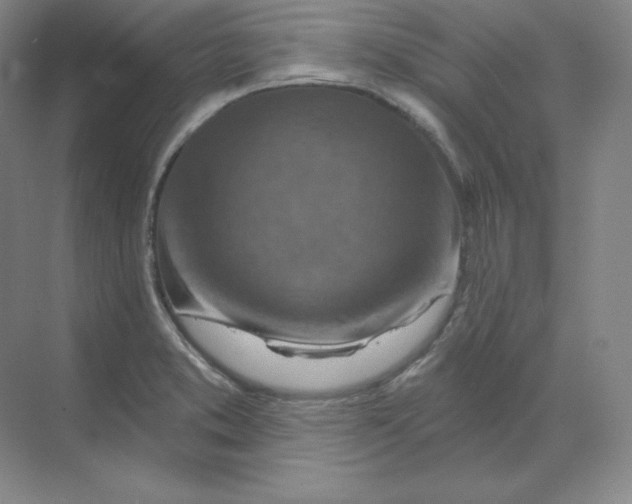 X0000068821373200605191822