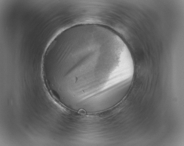 X0000068821374200605191822