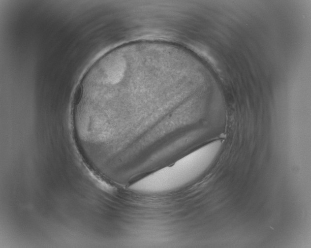 X0000068821375200605191822