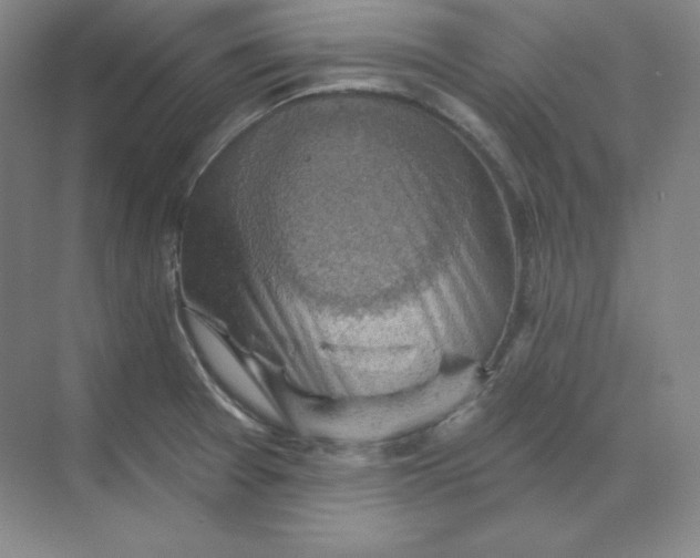 X0000068821377200605191822