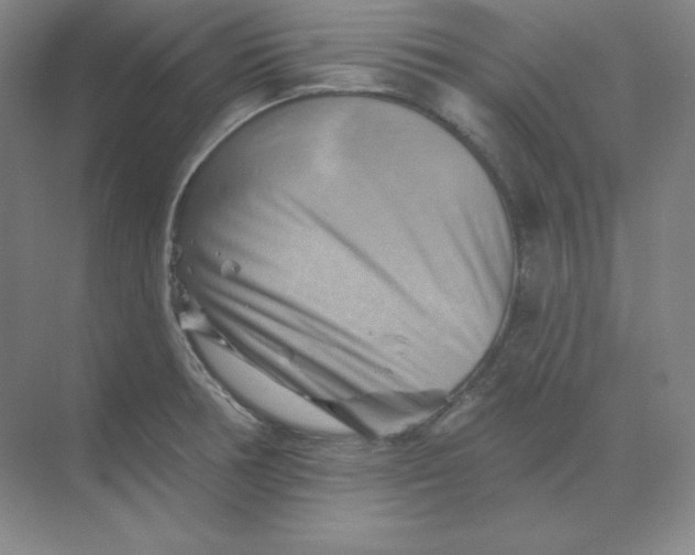 X0000068821378200605191822