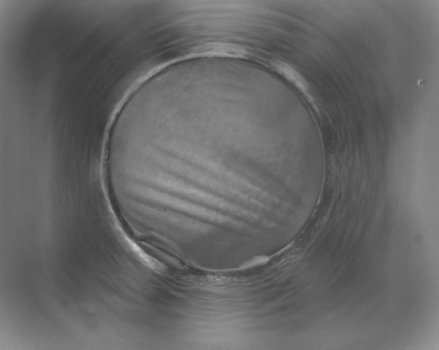 X0000068821379200605191822