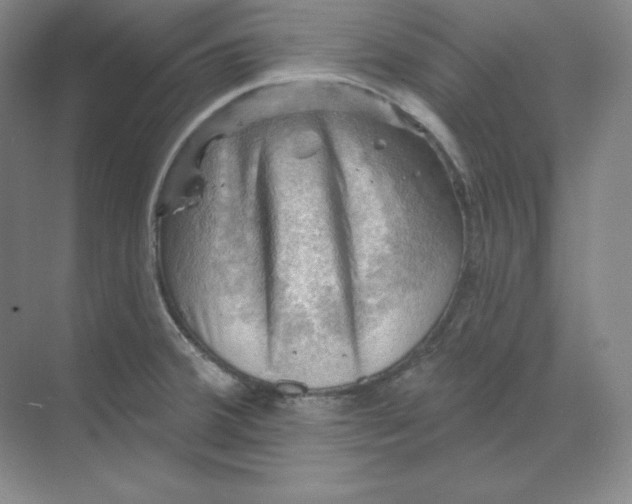 X0000068821380200605191822