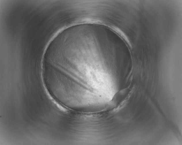 X0000068821381200605191822