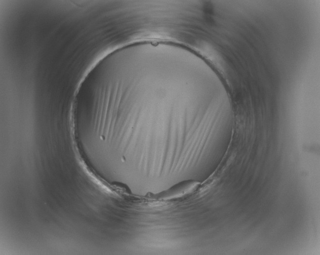 X0000068821382200605191822